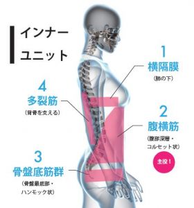 インナーユニット | 榎本メディカル(えのもと整骨院・鍼灸院)「深江橋駅」3分（大阪市・城東区）