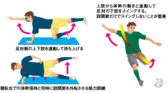 グロインペイン症候群 榎本メディカル えのもと整骨院 鍼灸院 深江橋駅 3分 大阪市 城東区